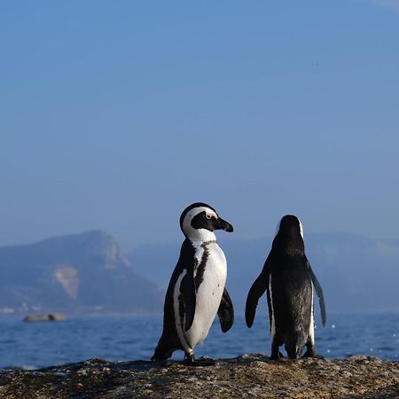 Penguin Haven . Luxury 2 Bedroom, Boulders Beach. Cape Town Exterior foto