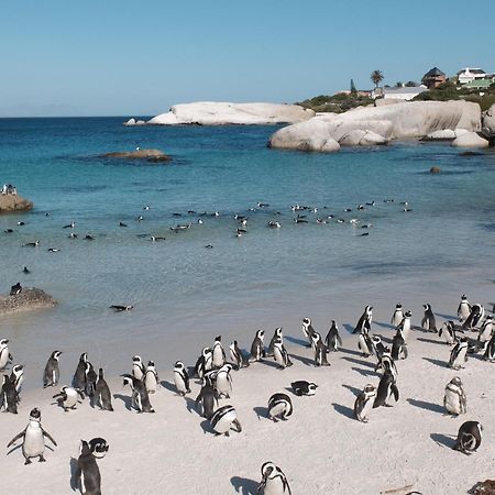 Penguin Haven . Luxury 2 Bedroom, Boulders Beach. Cape Town Exterior foto